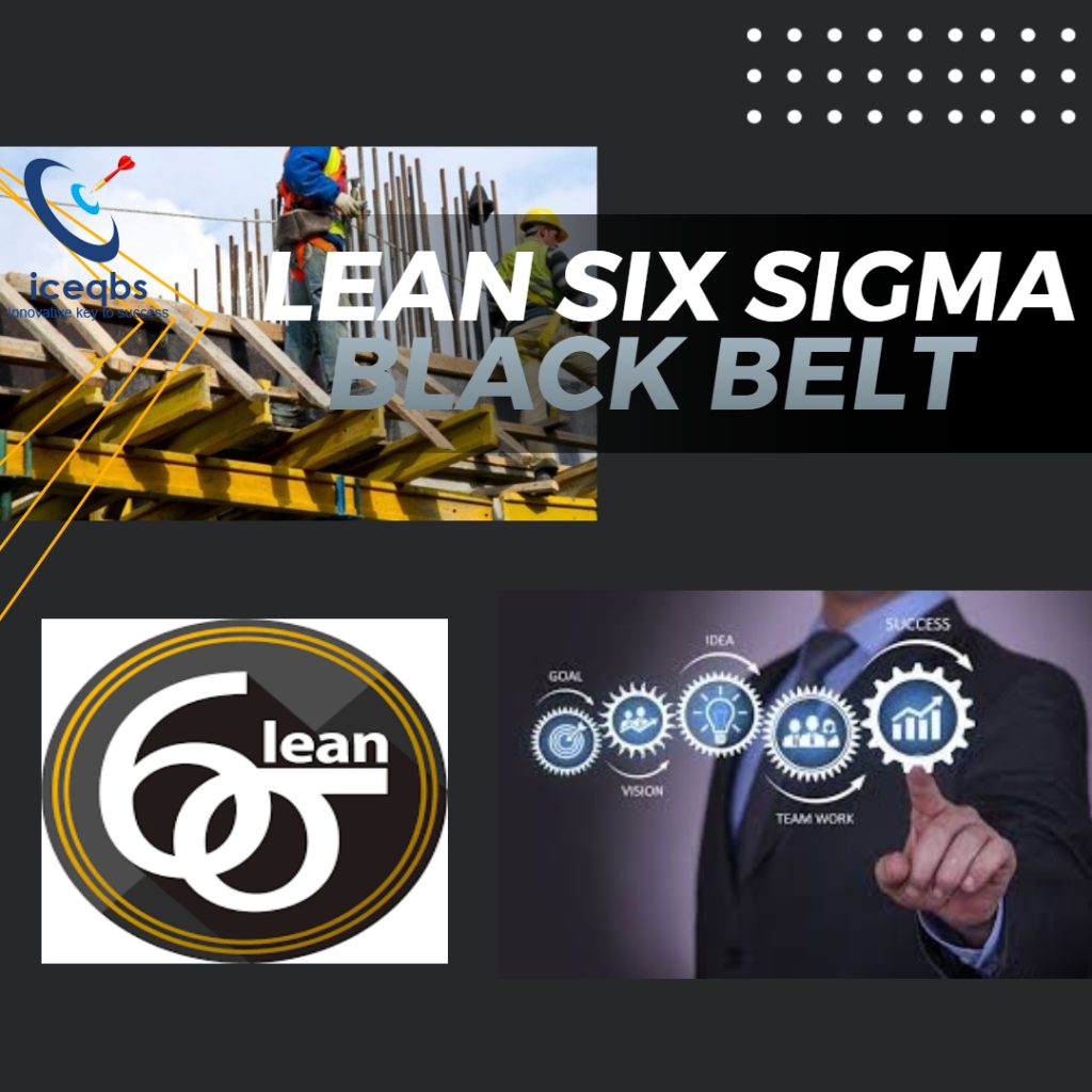 Lean Six Sigma Black Belt