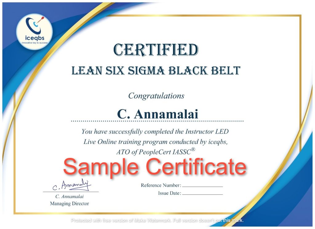 Lean Six Sigma Black Belt