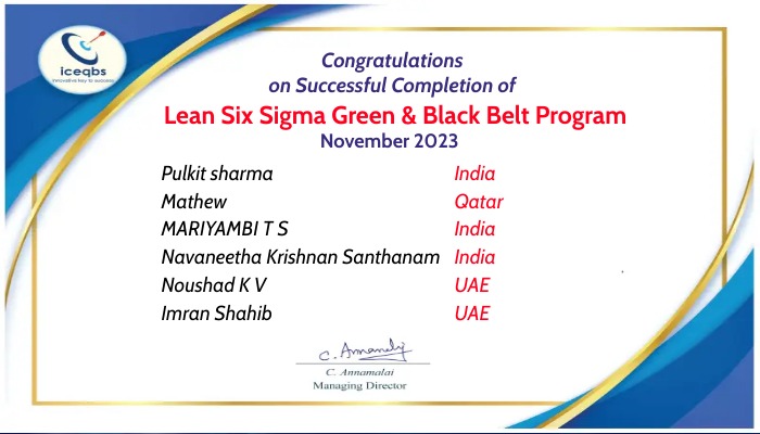 Lean Six Sigma