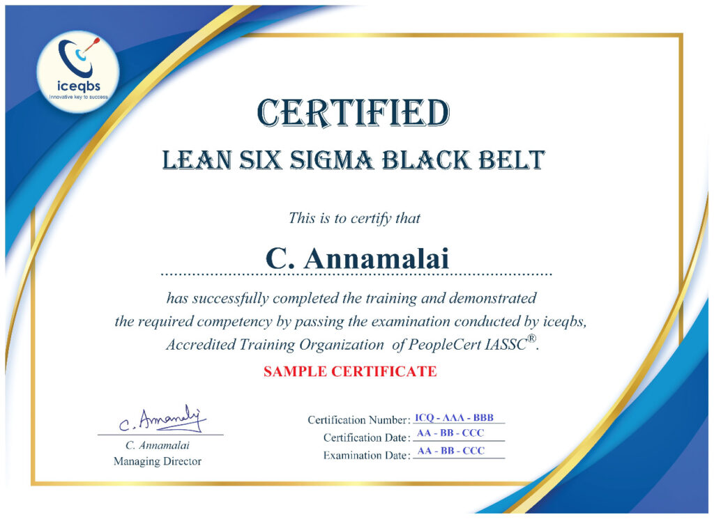 Lean Six Sigma Black Belt Certified